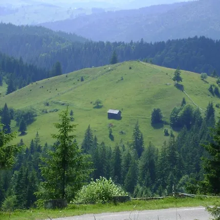 Pensiunea Casa Rodica Vendégház